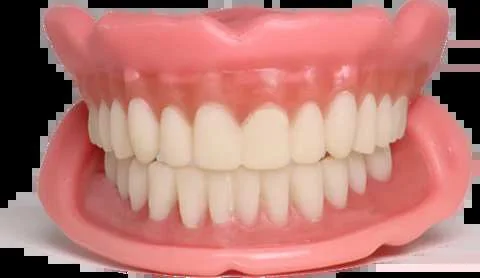 Easy Denture removable denture product